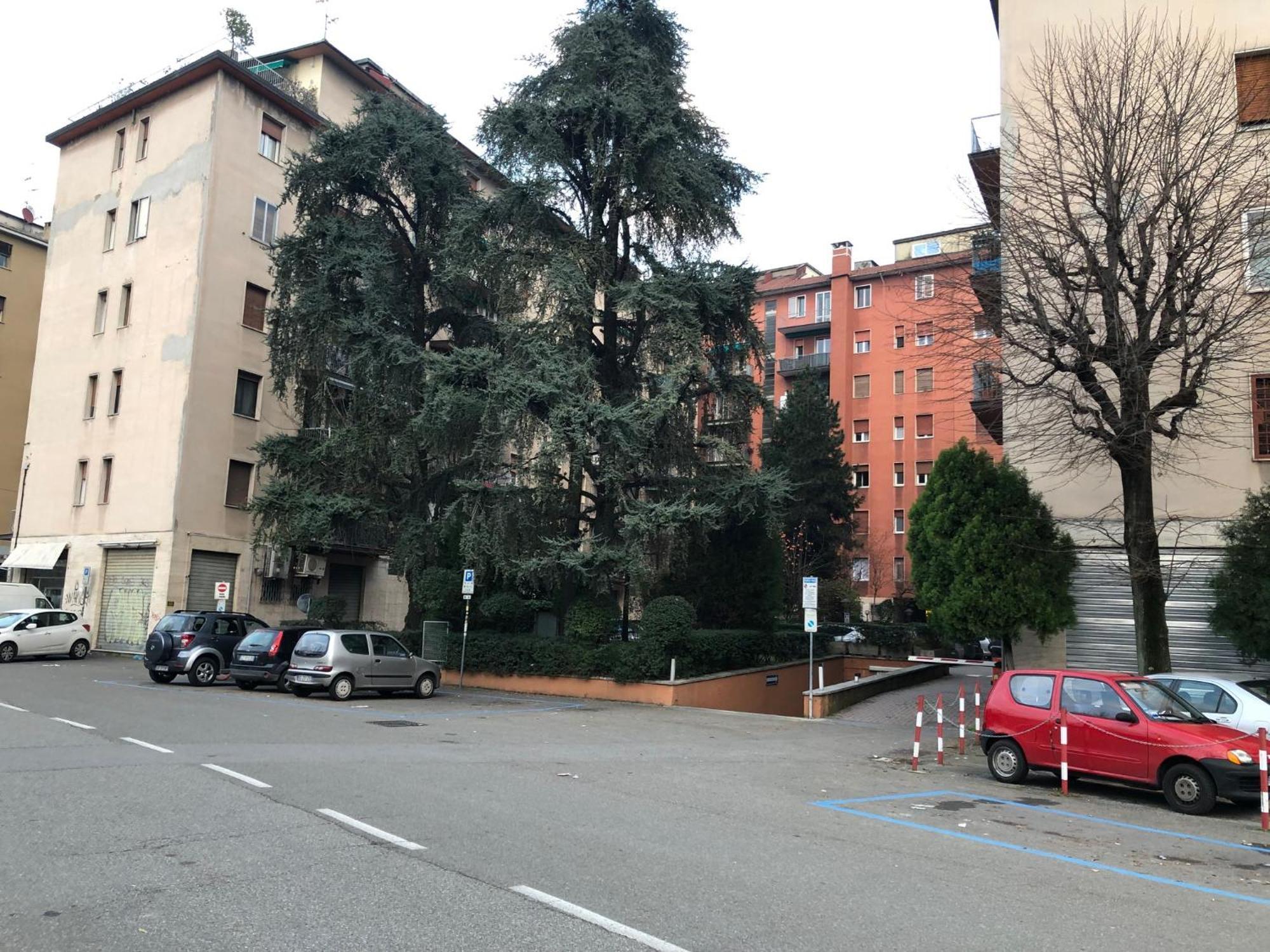 Tra Le Torri B&B - Ampia Stanza Privata In Appartamento Con Bagno Privato Accessibile Da Corridoio 博洛尼亚 外观 照片